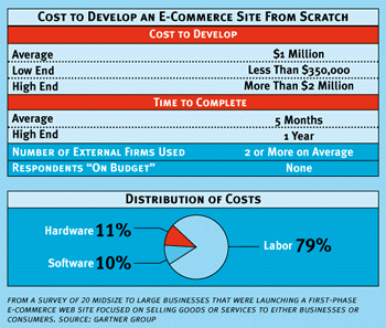 Costs of Devleoping a E-commerce site.