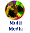 multimedia